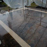 اجرای کاشی سرامیک متر350تا 380سنگ و اسلب|خدمات پیشه و مهارت|چالوس, |دیوار