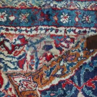 فروش فرش دستی|فرش|رشت, بلوار گیلان|دیوار