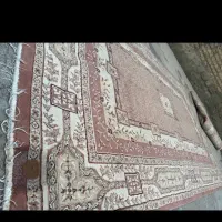 فرش|فرش|بوکان, |دیوار