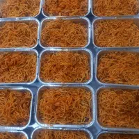 غذا، غذای شرکتی ،غذای مجلسی