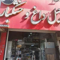 استخدام ادمین