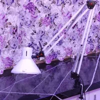 دو عدد چراغ رو میزی|چراغ خواب و آباژور|میانه, |دیوار