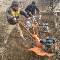 باغبانی هرس کردن، گلکاری،شخم زدن،کود تمام نقاط