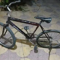 دوچرخه ۲۴ تنه کوتاه