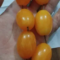 تسبیح سندلوس آلمانی|جواهرات|نهاوند, |دیوار