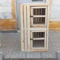 قفس