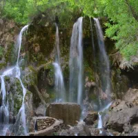 تورطبیعتگردی