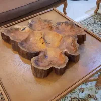 سینی سرو(اردو خوری)|صنایع دستی و سایر لوازم تزئینی|تهران, تهرانسر غربی|دیوار
