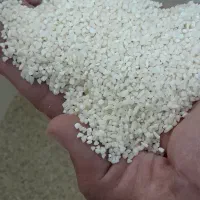 برنج نیم دونه عنبربو خوش عطر و خوش طعم|خوردنی و آشامیدنی|ماهدشت, |دیوار