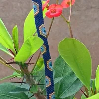 دستبند چشم و نظر میوکی ژاپنی