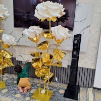 کنار سالنی