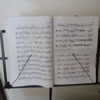 آموزش سنتور