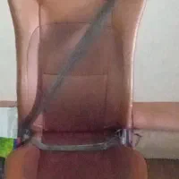 صندل بادی اصل