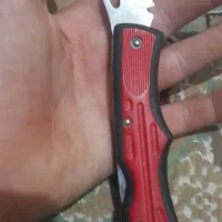 االهادی کوی علوی