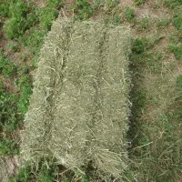 بیده