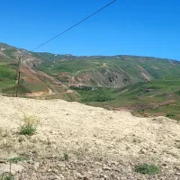 فیش-قنوات