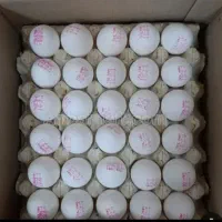 پخش تخم مرغ