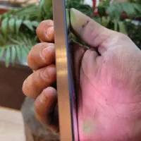 گوشی a56 با 12 ماه گارانتی|موبایل|اهواز, کوی باهنر|دیوار