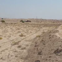 زمین کشاورزی مساحت ۵/۵ هکتار خورموج بحیری نودرار|فروش زمین و ملک کلنگی|خورموج, |دیوار