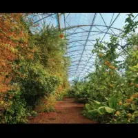 سرمایه گذاری در دهکده گردشگری-اقامتی،گلخانه و باغ|مشارکت در ساخت املاک|کرمانشاه, |دیوار