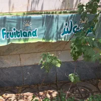سایه بان کالسکه ای