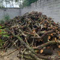 خرید چوب باغی