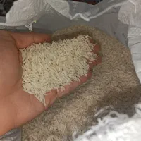 برنج هاشمی درجه یک سورتینگ شده|خوردنی و آشامیدنی|رشت, فرزانه|دیوار