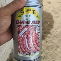 فروش بذر لوبیا چیتی پا کوتاه پرمحصول و زود بازده