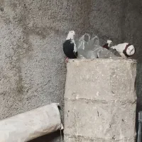 جفت دمی زیرو رو قفل