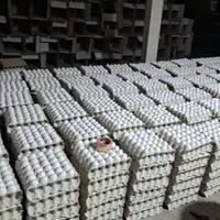 کارگر مرغداری تخمگذار
