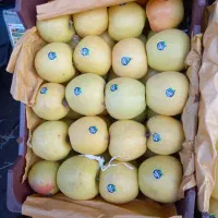 نیازمند شریک در میوه فروشی