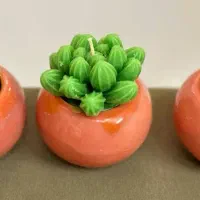 شمع کاکتوسی|صنایع دستی و سایر لوازم تزئینی|تهران, دولاب|دیوار