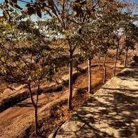 فروش باغ با کلبه کوهستانی در ییلاق بینق|فروش خانه و ویلا|سبزوار, توحیدشهر|دیوار