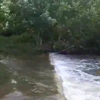 آخرین ویلای ساحلی با ویوی سرسبز و رودخانه فقط 3300