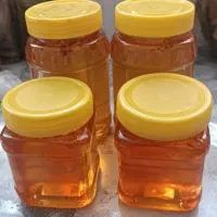 گردو ایرانی سامان درسه سایز|خوردنی و آشامیدنی|اصفهان, دانشگاه اصفهان|دیوار