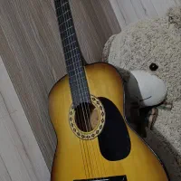 گیتار دیاموند