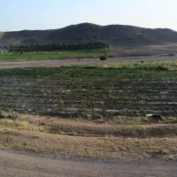 20-هکتار-زمین-کشاورزی-چاه-وپروانه-کشاورزی-قزوین