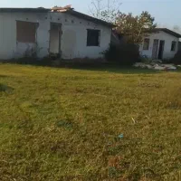 املاک مادر گیلان روستای نبی دهکاه|فروش دفتر صنعتی، کشاورزی، تجاری|کیاشهر, |دیوار