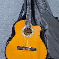 گیتار کاملا نو اصلا استفاده نشدهs5