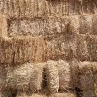 پرس گندم نیشابور