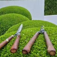 علف زنی و هرس درختان و سم پاشی