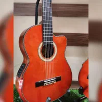 گیتار کلاسیک پیکاپدار واشبرن