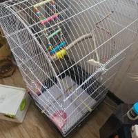 قفس یک متری و لانه و لوازم|لوازم جانبی حیوانات|چاف و چمخاله, |دیوار