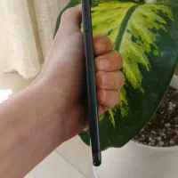 آیفون ۷ حافظه ۲۵۶ گیگ درحدنو|موبایل|مشهد, کوی المهدی|دیوار