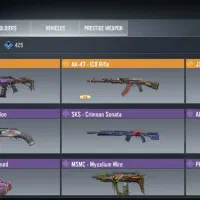 اکانت|کنسول، بازی ویدئویی و آنلاین|پرند, فاز ۶|دیوار