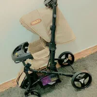 کالسکه  تدی دلیجان