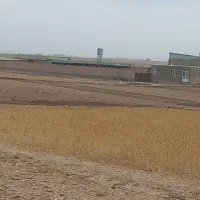 کارگر گاوداری