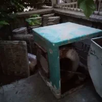 کولر دست دوم