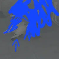 کبوتر گمشده کله دم سیاه غلط داره