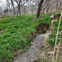 زمین ملک باغ ویلا